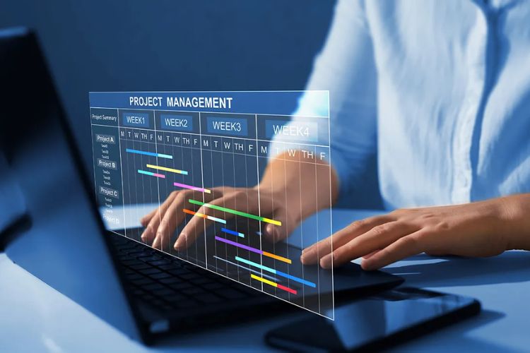 ict consultancy for it project management solutions